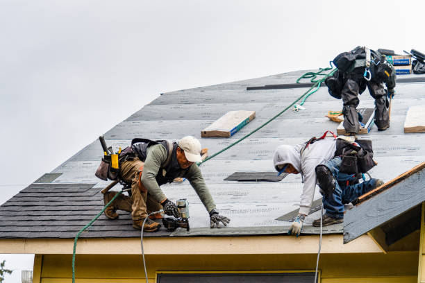 Professional Gutter Installation technician working in Dover, FL